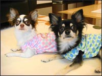 �N�N�����񁕃N���}������