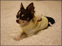 �݂邭�����