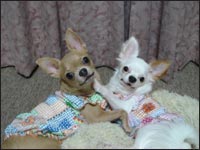 ���P����񁕎��P�����