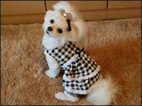 �~������