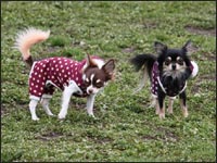 �݂邭����񁕂��������