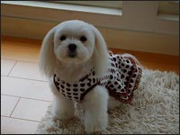 �i�i�����