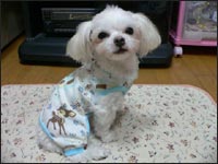 �i�b�c����