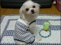 �i�b�c����