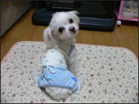 �i�b�c����