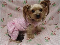 �܈��T�����