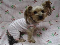 �܈��T�����