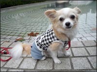 �v��������