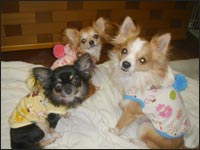 �邫������񁕂�񂿂�񁕂�������