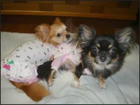 ��񂿂�񁕂邫�������