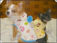 �������񁕂邫�������