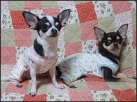 �����l����񁕕������