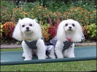 RIKU����MELL�����