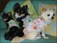 �������񁕂͂Ȃ���񁕃}���������