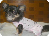 �邫�������