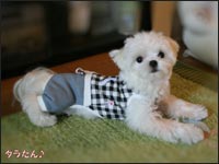 �^������