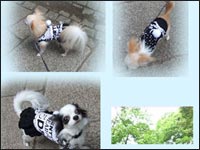 �킱������