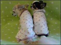 �M����񁕂����������