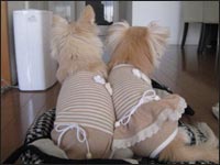 ������N���Ƃ낿���