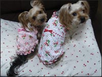 �܈��T����񁕊G�ڂ����