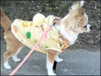 ���Ȃ������