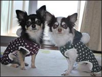 �N���}���N���N�N���N