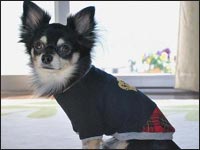 �N���}���N