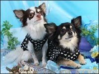 �N�N���N���N���}���N