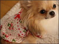 ���Y���N