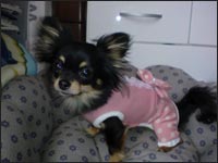 �}���������