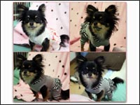 �}���������