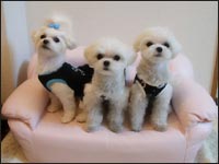 �~�����񁕃^�����񁕂낭��