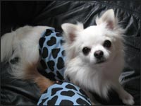 ���^���N