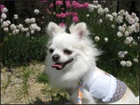 ���^���N