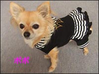 �|�|�����