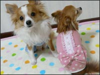 �����N����񂿂��