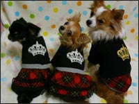 ��񂿂�񁕂����N���邫�������