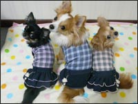 �邫������񁕂����N����񂿂��