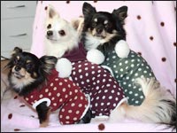 �������񁕂͂Ȃ���񁕃}���������