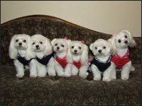 SORA�N��RIKU�N��RIKA�����MELL�����KAI�N��MOCA�����