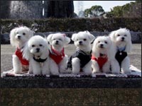 MOCA�����RIKU�N��RIKA�����KAI�N��MELL�����SORA�N