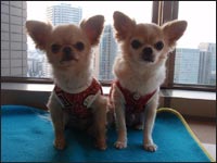 �Z�i�N���̂��݌N