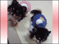 �^���^���N���ԉ������