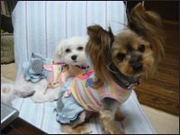 Ami�����&Manoa�����