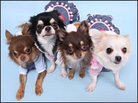 �܂ߌN&�����������&�ނ��N&���J�����