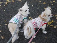 ������N&�Ƃ낿���