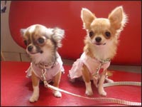 �Ђ߂����&�߂������