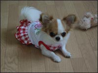 �Ђ�肿���