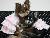 ����炿���&�A���X�����