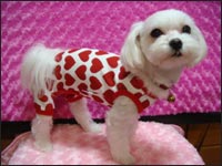 Manoa�����